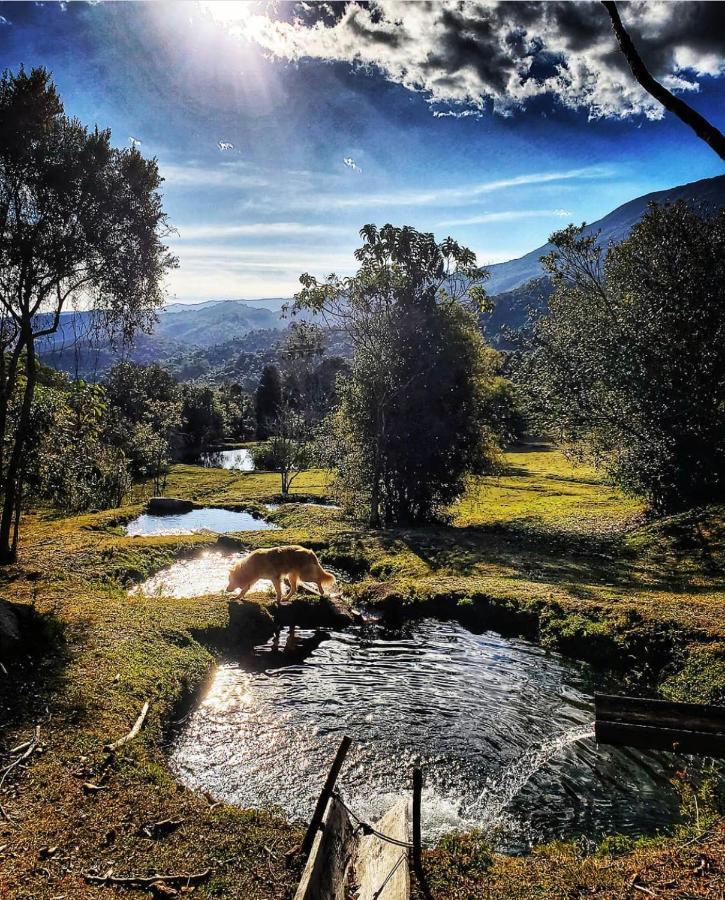 Delirius Hospedagem Itamonte Bagian luar foto