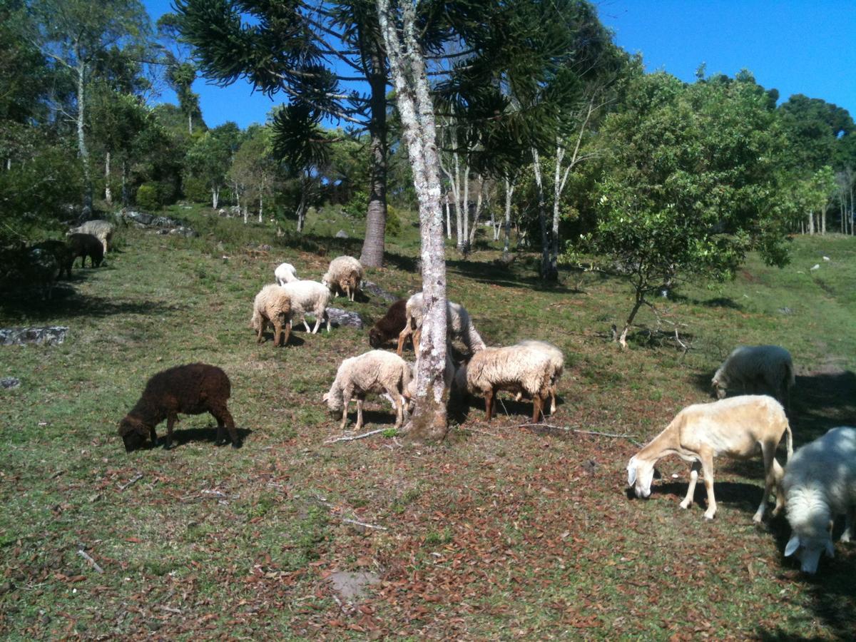 Delirius Hospedagem Itamonte Bagian luar foto